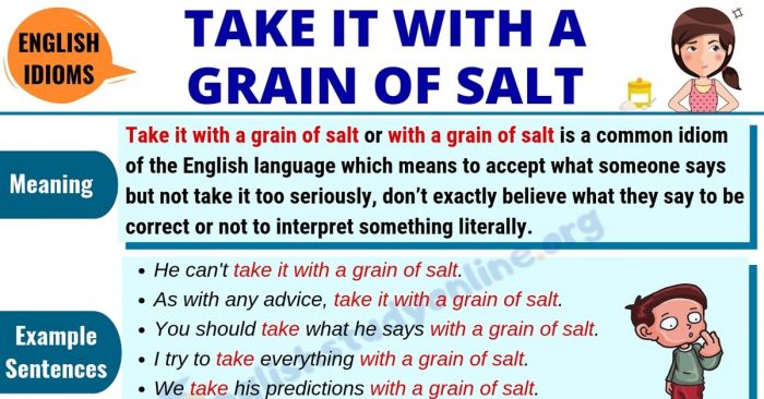 TAKE EVERYTHING WITH A GRAIN OF SALT