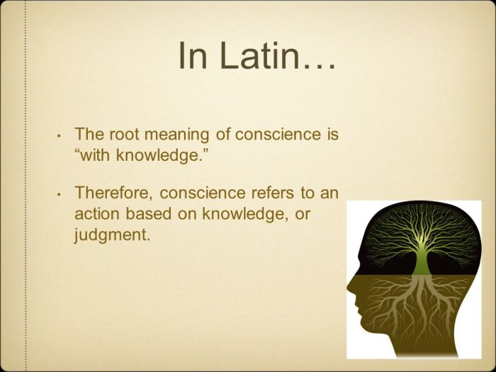 Therefore, conscience refers to an action based on knowledge, or judgment.