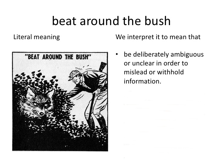 Beating the bushes