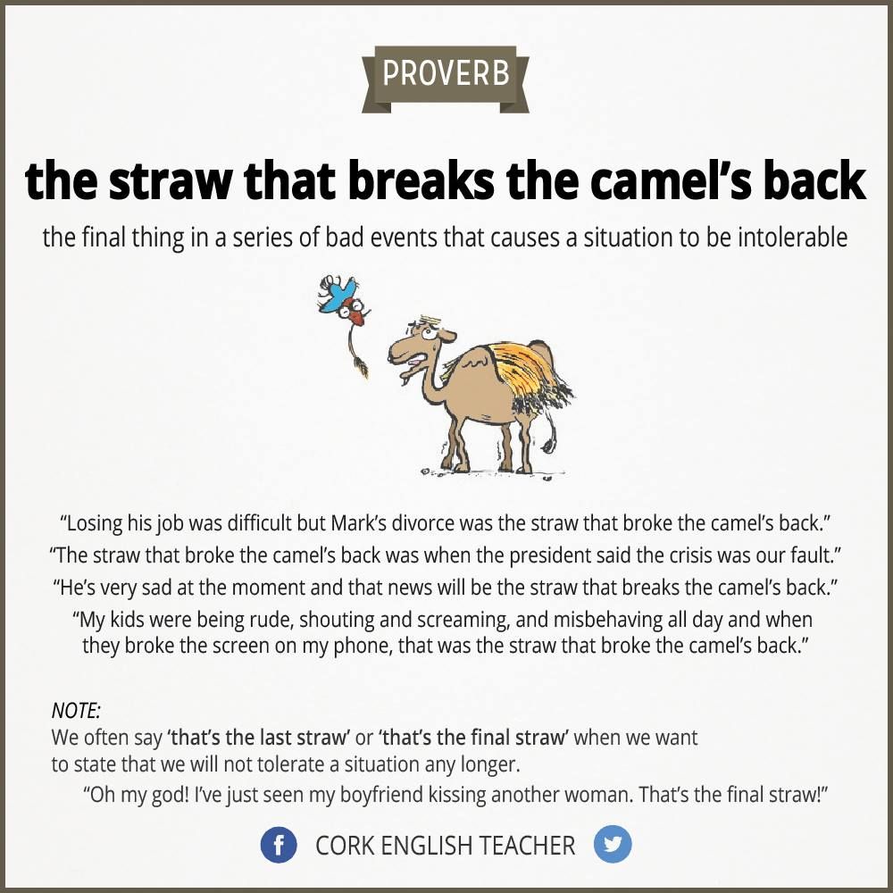 The Straw That Breaks The Camel S Back Justice Versus Conscience